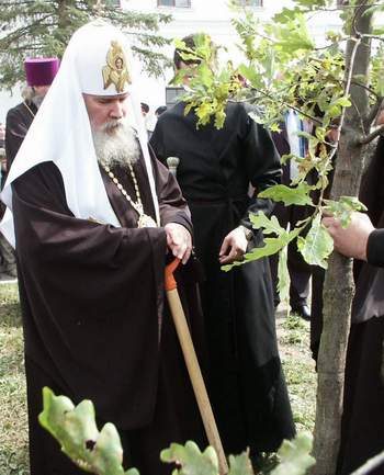 Предстоятель у посаженного им дубового дерева