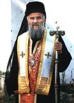 Святейший Патриарх Московский и всея Руси Кирилл поздравил епископа Нишского Иринея с избранием Архиепископом Печским, Митрополитом Белградо-Карловацким, Патриархом Сербским