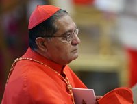 Кардинал Иван Диас считает, что «мир нуждается в священниках и миссионерах 3D-формата»