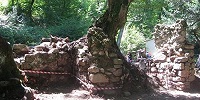 Грузинские археологи обнаружили в Кахетии уникальный трапезный зал в средневековом монастыре