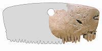 Гребень, сделанный из человеческого черепа, возможно, использовался в ритуалах железного века