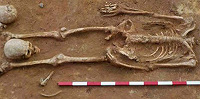 В Польше в братской могиле нашли 450 обезглавленных скелетов «вампиров»