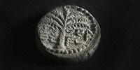 В Иудейской пустыне обнаружены 1900-летние монеты времен еврейского восстания против римлян