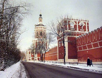 Донской монастырь (фото - Православие.Ru)