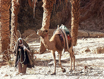 Бедуин из Цветного каньона