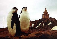 В Антарктиде отпраздновали Православную Пасху