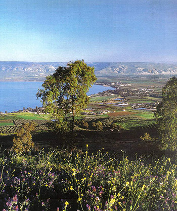 Долина реки Иордан. Фото сайта 