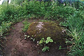 Камень на котором прп. Серафим Вырицкий молился о спасении России в годы Великой Отечественной войны