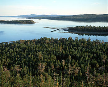 Кандалакшский заповедник, Белое море