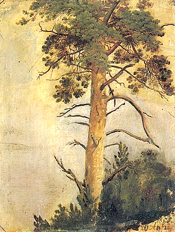 И.И.Шишкин. Сосна на скале. Этюд, 1855 г.