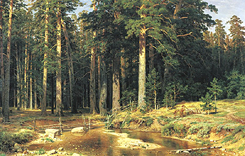 И.И.Шишкин. Корабельная роща, 1898 г.