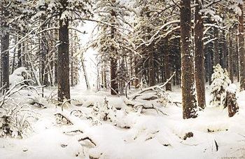 И.И.Шишкин. Зима, 1890 г.