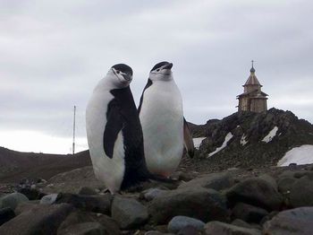 Православный храм в Антарктиде