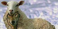 Папа Римский призвал христиан не слушать лжепророков и не бояться конца света
