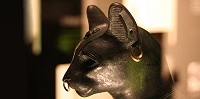 В США проходит выставка «Божественные кошачьи: Кошки Древнего Египта»