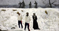 В Москве состоится конференция "Судьба русского казачества в ХХ веке. К 95-летию начала расказачивания"