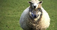 В Рязанской епархии появился мошенник В Рязанской епархии появился мошенник
