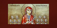 Египетские силы безопасности предотвратили террористическую атаку на монастырь св. Демианы