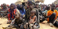 В Нигерии и Камеруне более 30 тысяч человек стали беженцами, спасаясь от «Боко Харам»