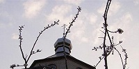 Верующие в Киевской области защитили храм от раскольников