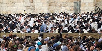 У Стены Плача в Иерусалиме прошли беспорядки между приверженцами различных течений в иудаизме