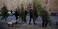 Израильские раввины считают рождественское дерево языческим атрибутом