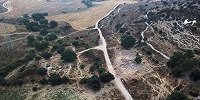 Археологи провели раскопки родного города Голиафа
