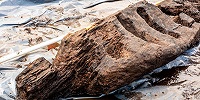 Деревянный идол железного века найден в болоте в Ирландии