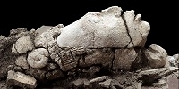 Мексиканские археологи обнаружили лепную голову юного бога кукурузы