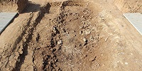 В неолитическом могильнике на севере Франции найдены захоронения 13 мужчин и одной женщины