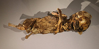 1000-летние мумии выставлены на обозрение в музее турецкого Аксарая