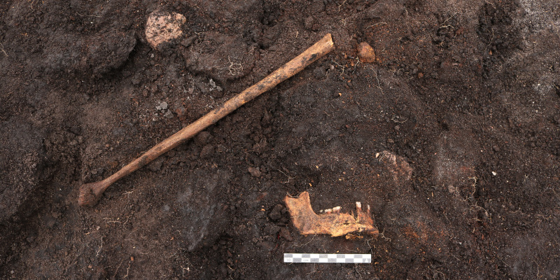 В Дании нашли следы человеческого жертвоприношения эпохи неолита