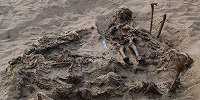 В ходе раскопок в некрополе Файюмского оазиса археологи нашли могилу ребенка, погребенного вместе со 142 собаками