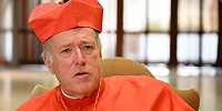 Американский кардинал заявил, что представление о серьезности сексуальных грехов — нововведение 17 века
