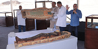 Кладбище эпохи Нового Царства с полным папирусом «Книги Мертвых» найдено в египетской провинции Минья
