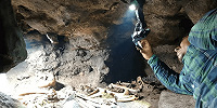 В Мексике археологи обнаружили скрытую погребальную камеру майя, спрятанную в пещере