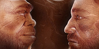 Найдены доказательства того, что неандертальцы и Homo sapiens обменивались погребальными обычаями