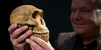 Исследование показало, что представители вида Homo naledi хоронили умерших