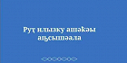 Институт перевода Библии выпустил перевод Книги Руфи на абхазский язык