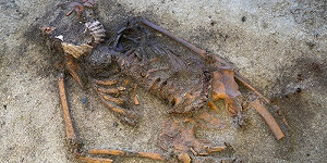 Археологи обнаружили в Норвегии уникальную могилу эпохи викингов