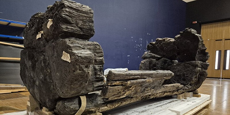 После многих лет консервации и реконструкции в Англии представят бревенчатый гроб бронзового века