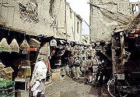 Прекратятся ли шариатские казни христиан? (комментарий в цифрах и фактах)