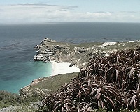 Православие на юге Черного континента (Телепрограмма, 03.12. 2005) (комментарий в свете веры)