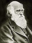 В Ватикане проходит конференция, посвященная 150-летию выхода книги Чарльза Дарвина &laquo;Происхождение видов&raquo;