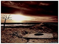 Общество Сторожевой башни (Свидетели Иеговы)