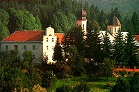 Священномученик Петр, митрополит Дабро-Боснийский (комментарий в свете веры)