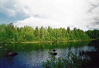 Иванов день: от Купалы к Предтече (комментарий в цифрах и фактах)