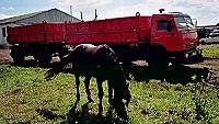 О закате «Восходa» и его воскресении (комментарий в цифрах и фактах)